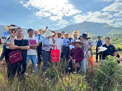 三僚风水游学班