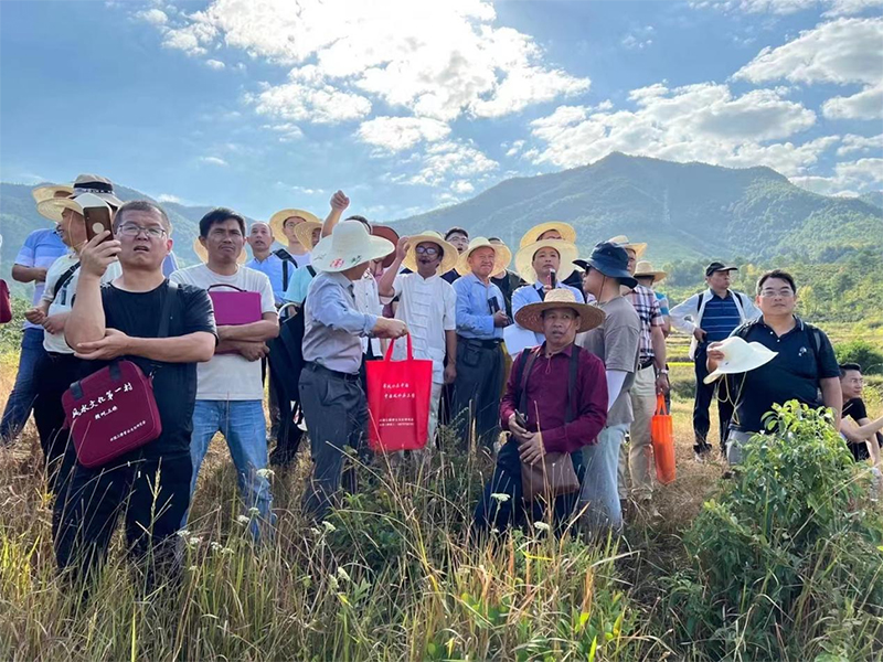 三僚风水游学班(图1)
